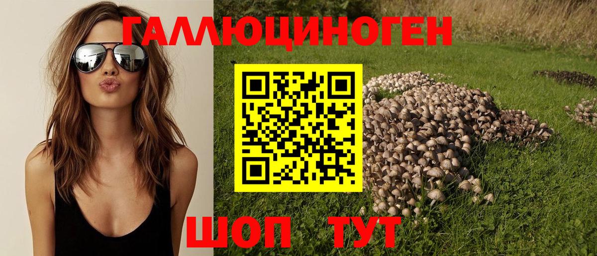 Волоколамск  Псилоцибиновые грибы GOLDEN TEACHER  Вход с VPN  Галлюциногенные грибы ЛСД 