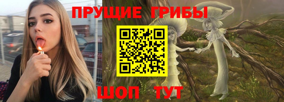 Псилоцибиновые грибы Psilocybine cubensis Волоколамск